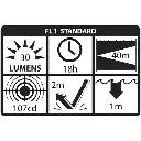 XPP-5410G Eigensichere Taschenlampe / 30 Lumen