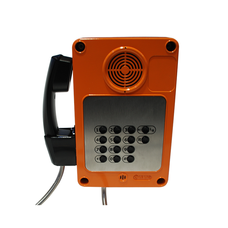 TLS412E2C9FGL Waterproof handsfree phone with keypad and display