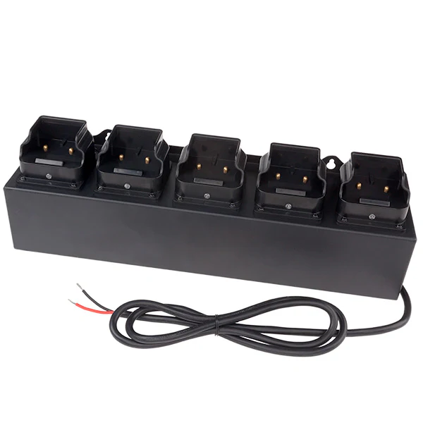 5-bank DC charger for 5568 series 12-36 V