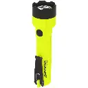 XPP-5420GX security LED torch / 210 lumens