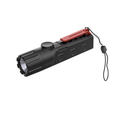 ExMP31N Explosion-proof LED flashlight 