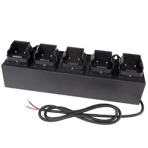 [5568-CHGRDC5] Chargeur DC à 5 bancs pour série 5568 12-36 V