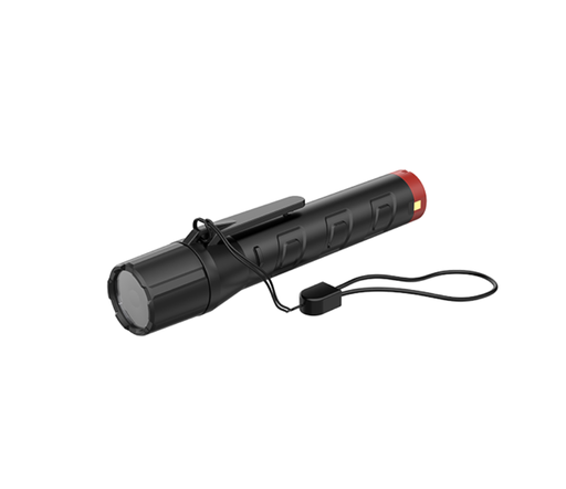 [ExMP21R+A21] ExMP21R Lampe torche à LED antidéflagrante avec station de charge